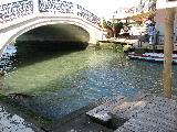Venezia